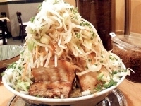 「◎豚入りラーメン大盛り￥950+野菜増し￥50（ニンニク・魚粉増」@らーめん 凌駕の写真