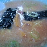 「ラーメン 麺硬め 500円」@ラーメンショップ ネモトの写真