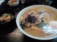 「塩+温卵（800円+100円）」@らーめん こじろう 526の写真