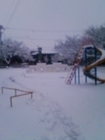 「肉そば」@坂内食堂 喜多方本店の写真