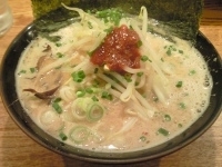 「博多らーめん かく+替玉」@博多ラーメン 高菜の写真