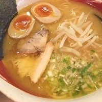 「味玉ラーメン」@TOKYO 鶏そば TOMOの写真