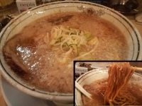 「正油らーめん（麺ふつう 背脂多め 味ふつう）+大盛」@環七ラーメン てらっちょの写真