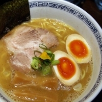 「味玉らーめん（塩） 800円」@らーめん はやしの写真