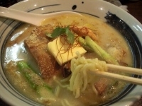 「北の大地塩らーめん（あっさり魚介）800円」@北海豚骨麺屋 銀鈴の写真