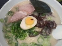 「ラーメン￥500+替玉（硬め、店頭無料券）」@博多天神 お茶の水店の写真