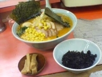 「特製ネギ味噌チャーシューメン 大盛り+メンマ+岩のり+のり+チャ」@ラーメン山岡家 牛久店の写真