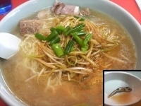 「ネギラーメン+中盛」@ラーメンショップ 下大野店の写真