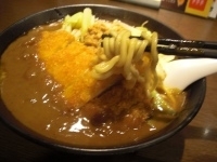 「こいこくカレーらーめん（辛さ普通）780円+ロースカツ250円」@麺屋 ここいち 新宿小滝橋通り店の写真