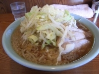 「小ラーメン 600円（麺硬め、ヤサイ・ニンニク・カラメ）」@ラーメン二郎 亀戸店の写真