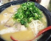 「ラーメン+ピり辛餃子」@ラーメン 横綱 松戸店の写真