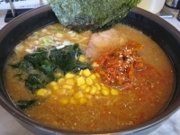 「からし麺・味噌・中盛り・HOT 850円」@ラーメン屋 麺一 溝の口店の写真