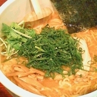 「ねぎだくらーめん+大盛（3玉）」@麺屋我竜の写真