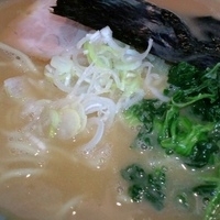 「ラーメン 濃厚 700円」@つけ麺 目黒屋の写真