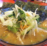 「ラーメン（並￥630）野菜畑（￥30）」@環2家の写真