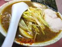 「ネギ味噌ラーメン￥700+特濃￥100+とろろ￥150」@ラーメン 日本一の写真