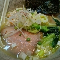 「鳥骨鶏を使った塩鶏白湯スープ麺【限定】 900円」@麺や 福一の写真