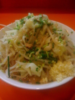 「豚入りラーメン（700円）、野菜マシマシ、にんにく、ネギ、アブラ」@ちばからの写真