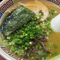 「01 長浜らーめん 600円+12 替玉 150円+20 カレー」@ハングリードラゴンの写真