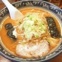 「みそラーメン ￥550」@麺屋 いろはの写真