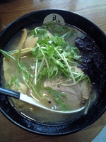 「命の塩半熟味玉らぁめん」@麺喰酒場 月音の写真