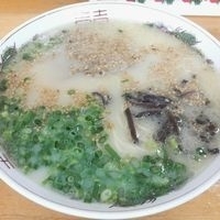 「博多豚骨ラーメン（普通） ￥500」@博多 翔龍 荒川沖店の写真