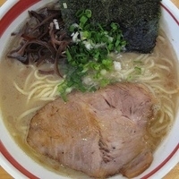 「豚骨ラーメン 中太麺 600円」@とんこつラーメン 光★MENJIの写真