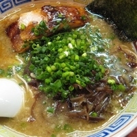 「03 長浜塩豚骨らーめん 600円+12 替玉 150円+19 」@ハングリードラゴンの写真