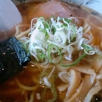 「煮干しらーめん 600円」@らーめん 福たけ 桜木本店の写真