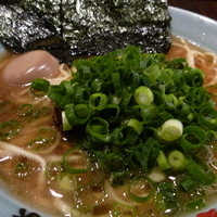 「横浜らーめん中（麺硬め 味薄め アブラ多め）+煮玉子」@横浜家系佐倉家の写真