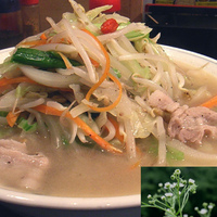 「タンメン大盛り（麺硬め）」@やみつき味 辛子堂の写真