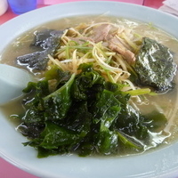 「ネギラーメン」@ラーメンショップ 昭和橋店の写真