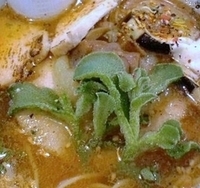 「房の塩【創作】 850円」@らーめん 福たけ 桜木本店の写真