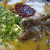 「黄豚骨ラーメン（辛味多め） 550円+ごはん小 150円」@拉麺 空海 本店の写真