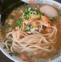「黒味噌とんこつ 味玉クーポン （770円）」@九州大牟田ラーメン きらら 新橋店の写真