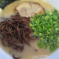 「ラーメンバリカタ ￥650」@博多長浜らーめん ぼたん 高田馬場店の写真