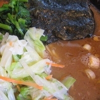 「中盛ラーメン + 野菜畑 790円」@環2家の写真