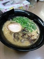 「豚骨ラーメン（塩）」@とんこつラーメン 一遊の写真