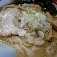 「にぼとんラーメン大盛無料 650円」@麺屋 魚々やの写真
