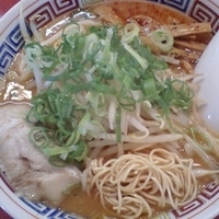 「07味噌豚骨らーめん750円（バリカタ）」@ハングリードラゴンの写真