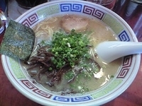 「長浜塩ラーメン・あっさり（600円）」@ハングリードラゴンの写真