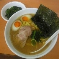 「大和家ラーメン 太麺（麺カタメ）+味玉+ホウレン草」@横浜ラーメン 大和家の写真