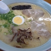 「大盛ラーメン 500円」@久留米ラーメン福竜軒の写真