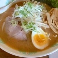 「味噌 白」@札幌味噌ラーメン専門店 しつらえ家の写真