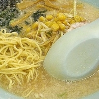 「ネギラーメン（脂多め、麺硬め）￥690」@ラーメンショップ 月夜野インター店の写真