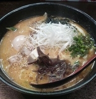 「味玉白マルラーメン（解し豚サービス）」@マルホン拉麺の写真