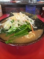 「ラーメン（薄味）+野菜畑+ほぐしチャーシュー+茎ニンニク」@環2家の写真