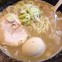 「NIBO中華そば（熟成玉子トッピング）」@麺堂 稲葉の写真