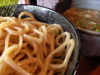 「つけ麺（300g）」@がふうあんの写真