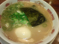 「煮玉子ラーメン（バリカタ）」@博多ラーメン もえぎ野の写真